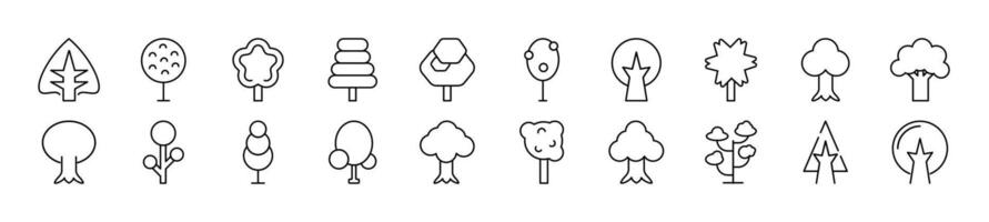 Bundle of linear symbols of various trees. Editable stroke. Linear symbol for web sites, newspapers, articles book vector