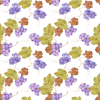 Seamless background with grapevine. Watercolor lilac autumn grape berries and leaves. Illustrations for wine label design, grape juice, restaurant menu and for grape festival decoration. png