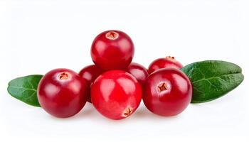 fresh red cranberries on white background with vibrant color and natural texture photo