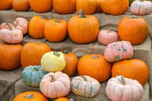 Pumpkins of various colors on fabric, perfect for autumn harvest theme photo