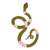 Green snake with circles and stars. hand drawn vector