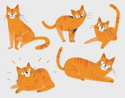 A cute simple Ginger Cat with 5 different poses.Orange cat . vector