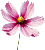 Beautifully Rendered Deep Pink Flowers for Creative Inspiration. . png