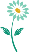 Daisy Blooms Clipart with Elegant Simplicity. . png