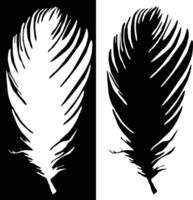 Black and White Feather Silhouette vector