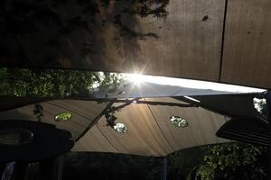 The sun's rays break through the dense foliage of the tree. photo