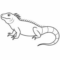 A Simple line Art Drawing Of A Beautiful Iguana Illustration vector