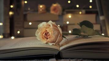 Peach rose resting on open book with fairy lights in the background. The rose and book create a romantic and cozy atmosphere video