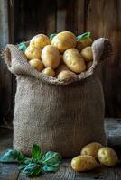 Freshly harvested potatoes in a burlap sack surrounded by green basil leaves on a wooden table photo