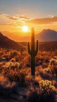 Sunset over the desert showcasing a towering cactus and vibrant sky in late afternoon light photo