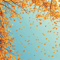 Bright autumn leaves cascading against a clear blue sky photo