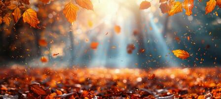 Autumn Scene With Leaves Falling From Trees photo
