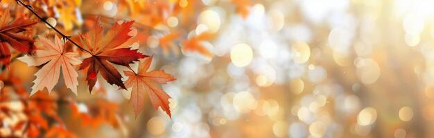 Autumn Leaf With Bokeh Background photo
