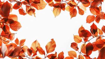 Autumn Leaves Frame photo
