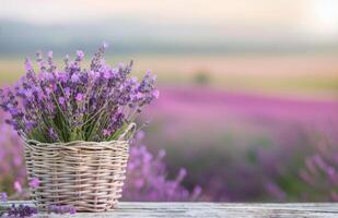 Lavender Bouquet in a Wicker Basket photo