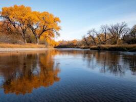 Autumn Reflections on a Calm River at Sunset Near a Forested Bank photo