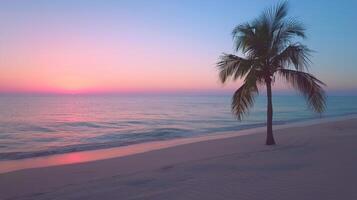 A tranquil sunset over the ocean with a lone palm tree on a serene beach landscape photo