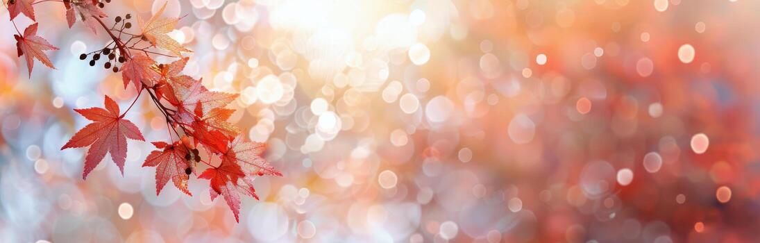 Autumn Leaves With Bokeh photo