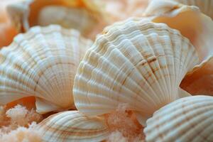 A display of unique seashells arranged on a light surface, highlighting their textures and colors photo