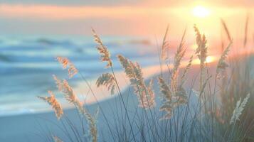 Tranquil beach landscape at sunset with gentle waves and tall grasses in the foreground photo