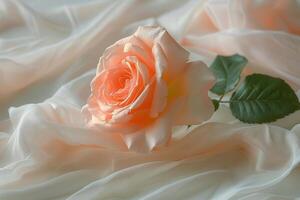 A delicate peach rose resting on soft, white fabric in a serene, tranquil setting photo