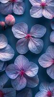 Delicate blue and pink hydrangea flowers arranged beautifully on a dark background photo