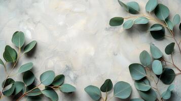 Eucalyptus leaves arranged on a soft textured background for a calming aesthetic photo