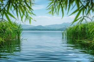 Misty morning at a tranquil lake with lush greenery and still waters in a serene landscape photo