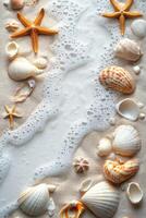 Seashells and starfish along the sandy shore with gentle waves at the beach photo