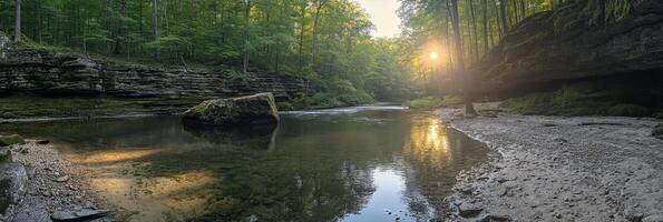 Morning sunlight filters through trees over tranquil river at dawn in rural landscape photo