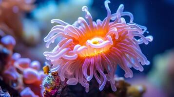 Close up view of a vibrant coral underwater, showcasing its delicate structure and colors photo