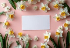 Bright white card surrounded by daffodils on a pink background during springtime photo