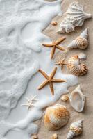 Seashells and starfish along the sandy shore with gentle waves at the beach photo