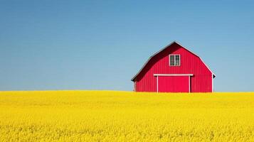 A red barn stands in a vibrant yellow field under a clear blue sky in rural countryside photo