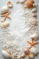 Seashells and starfish along the sandy shore with gentle waves at the beach photo