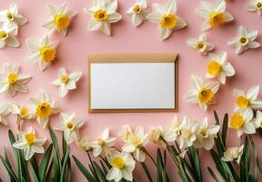 Bright white card surrounded by daffodils on a pink background during springtime photo