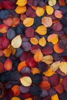Colorful autumn leaves create a vibrant carpet on the ground in a serene outdoor setting photo