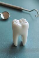 Large dental tooth model with a dental mirror on a blue table in a well lit room photo