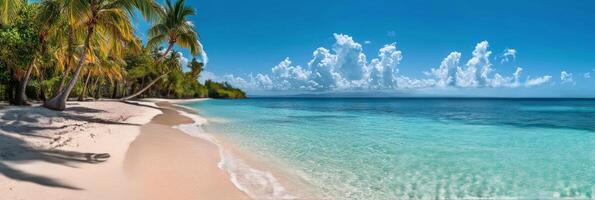 Serene tropical beach with turquoise waters and palm trees on a sunny day in a peaceful location photo