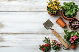 Colorful flower pots arranged on a wooden surface with gardening tools during springtime photo