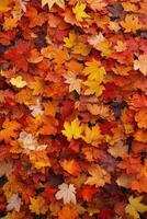 Colorful autumn leaves create a vibrant carpet on the ground in a serene outdoor setting photo