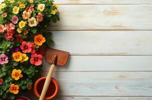 Colorful flower pots arranged on a wooden surface with gardening tools during springtime photo