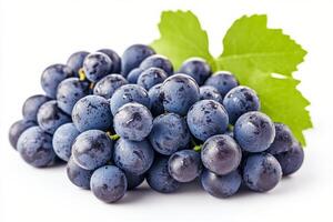Freshly harvested purple grapes with water droplets and green leaves on a white background photo