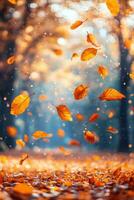 Falling autumn leaves create a beautiful mosaic against a blurred background in nature photo