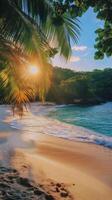 Sunrise over a tranquil beach with gentle waves and palm trees in a serene tropical setting photo
