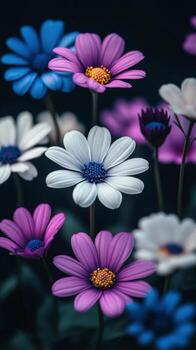 Beautiful blooming flowers in various colors against a dark background during twilight photo