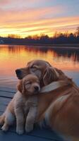 Two golden retrievers cuddling by a lake at sunset with vibrant colors reflecting on the water photo