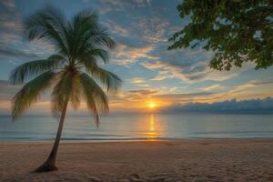 Sunset illumination over calm ocean waves with palm tree on sandy beach photo