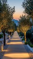 A beautifully lit pathway lined with olive trees at twilight in a serene outdoor setting photo