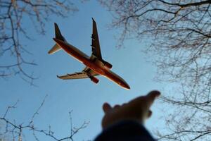 A person reaching out as an airplane soars above bare trees in a clear blue sky photo